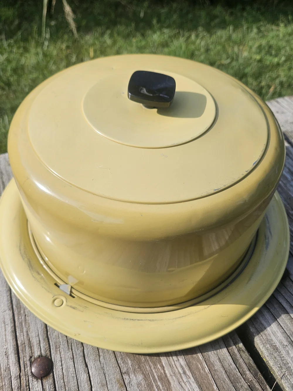 Yellow Cake Keeper with Decorative Emblem